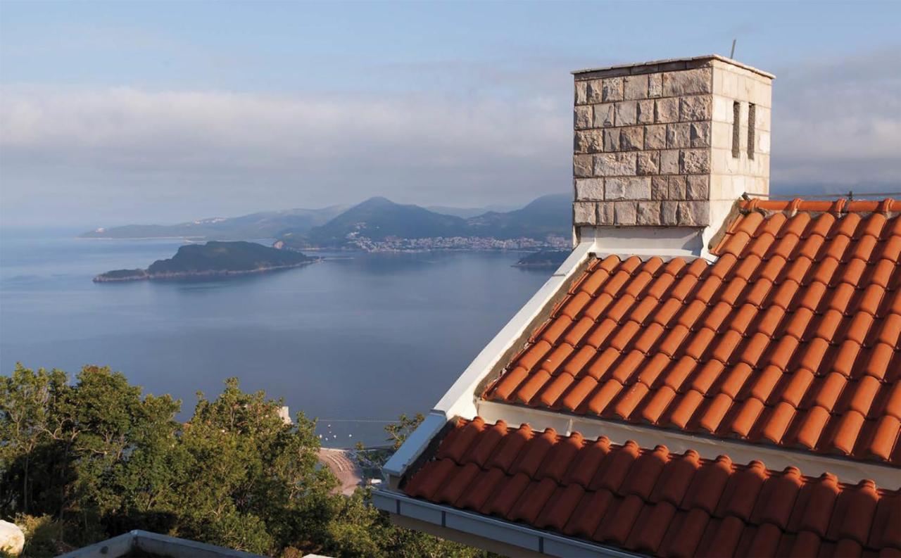 Carsko Selo Blizikuce Βίλα Μπούντβα Εξωτερικό φωτογραφία